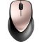 Mouse HP Envy 500