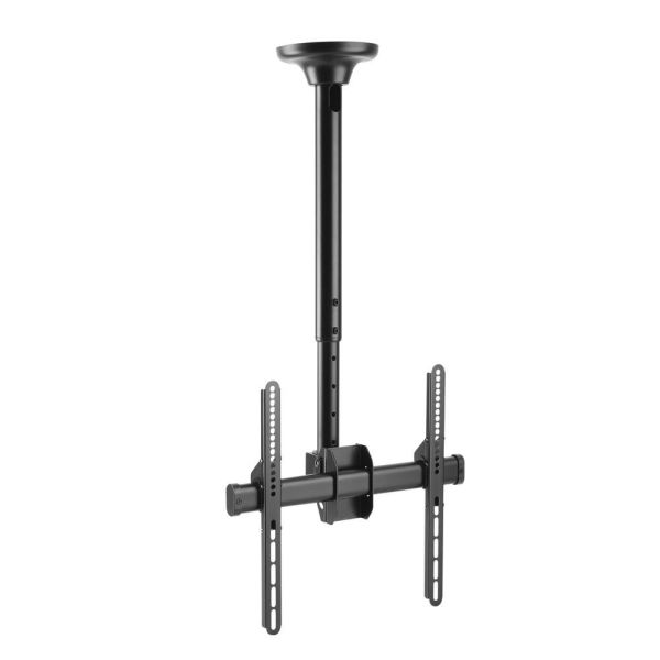 Soporte TV Argom de Techo 55"