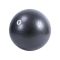 Pelota de Ejercicio LivePro