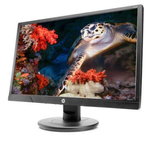 Monitor HP V214A 3WP69AA