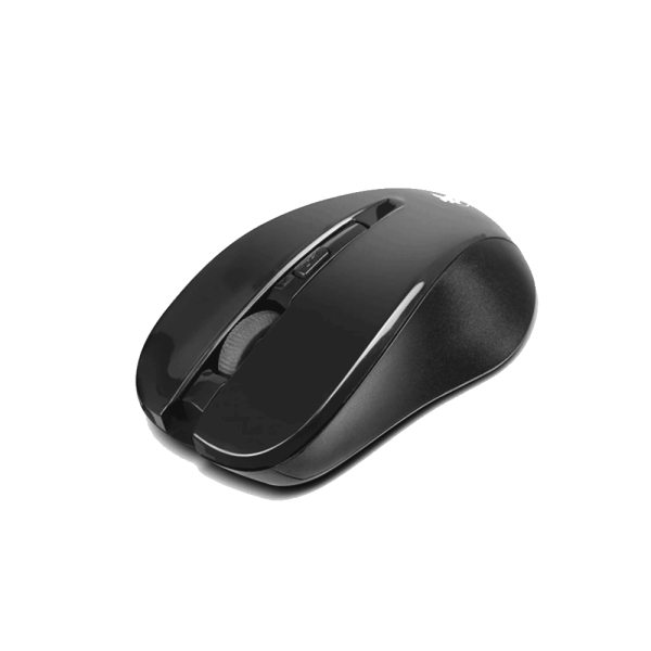 Mouse Inalámbrico Xtech XTM-300
